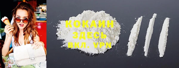 тгк Гусев