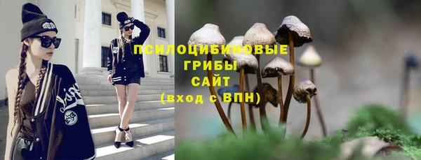 альфа пвп Горняк