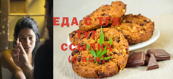 гашик Гусь-Хрустальный