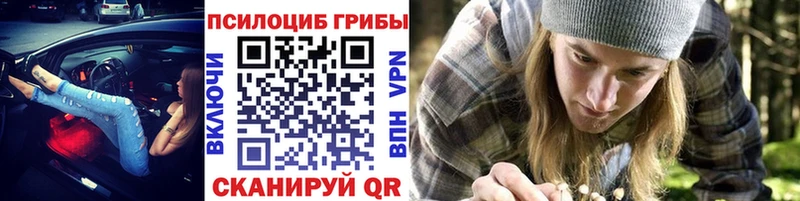 Купить закладки  Мышкин  Псилоцибиновые грибы прущие грибы 